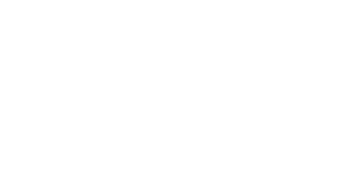 The Jewelry Group, Inc.