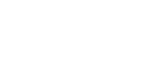 Brand logo of Scheels