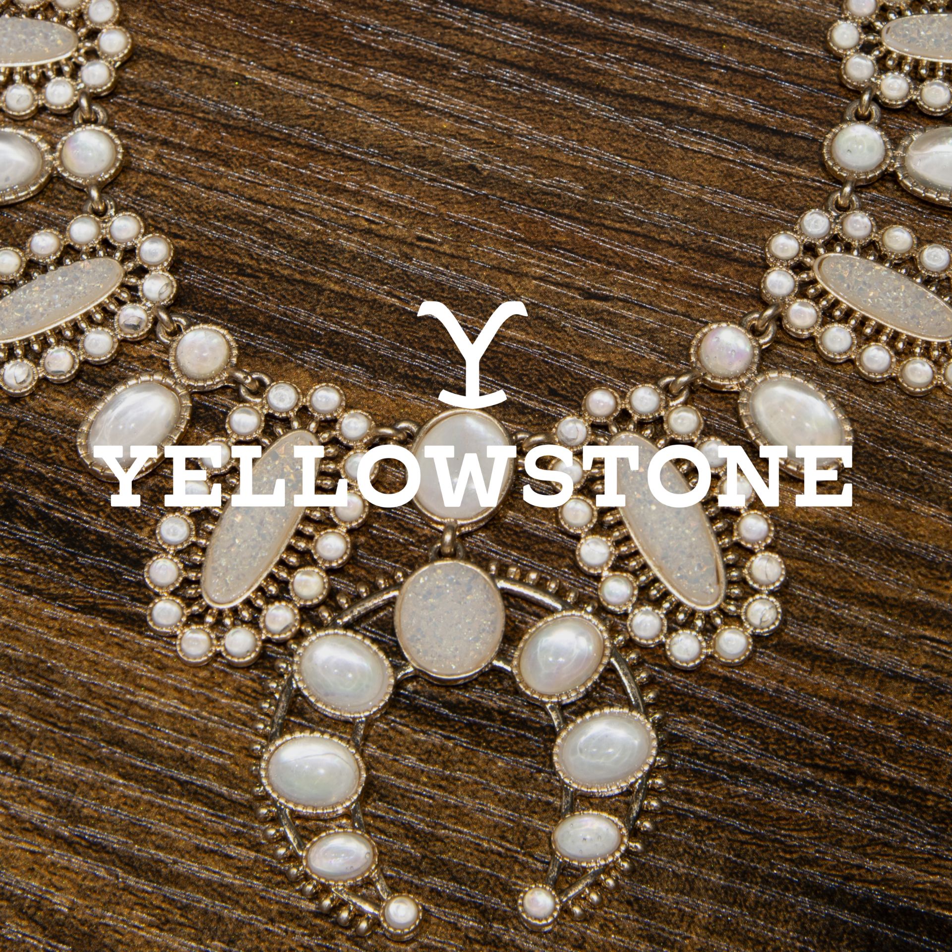 Brand logo of Yellowstone